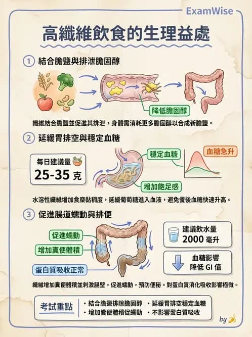 護理師 - 慢性病防治 - AI 圖文解析預覽