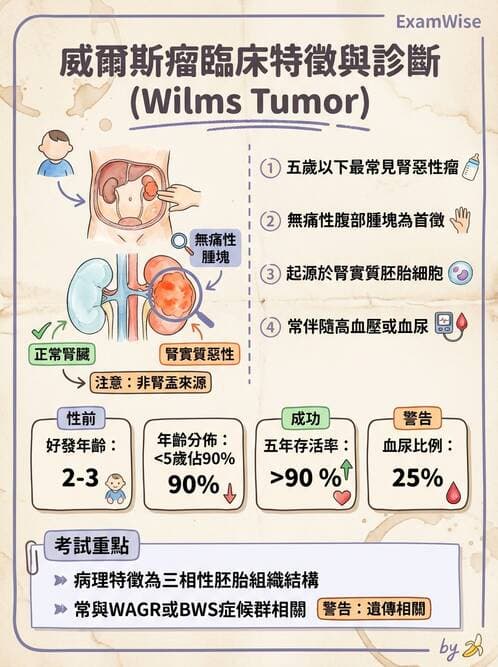 護理師 - 腫瘤及遺傳疾病 - AI 圖文解析預覽