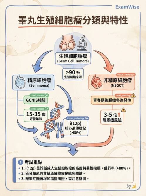 護理師 - 腫瘤及遺傳疾病 - AI 圖文解析預覽