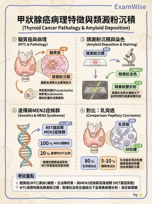 護理師 - 腫瘤及遺傳疾病 - AI 圖文解析預覽