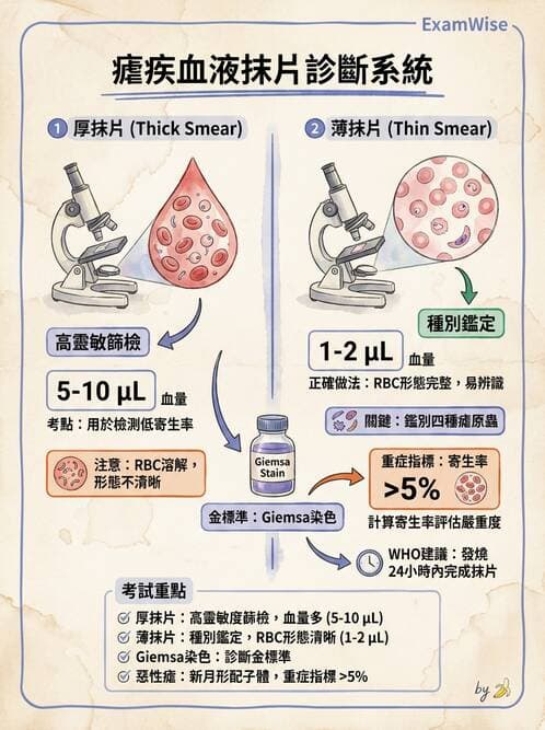 護理師 - 寄生蟲概論 - AI 圖文解析預覽