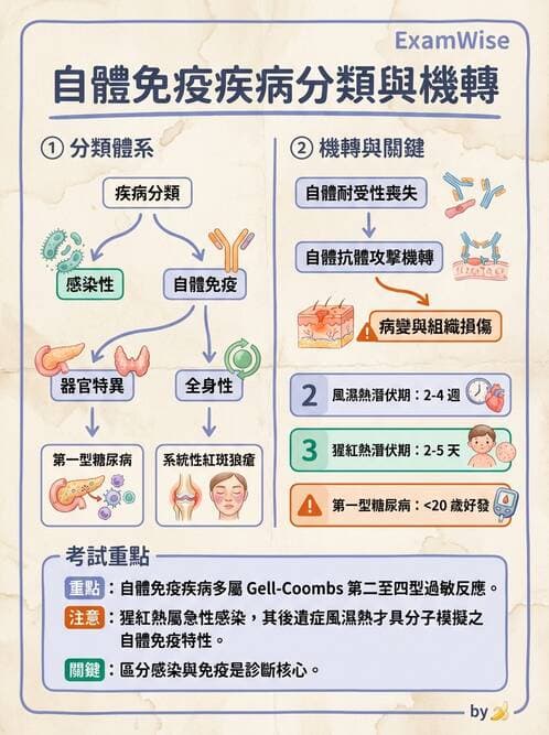 護理師 - 後天性免疫、免疫調節 - AI 圖文解析預覽