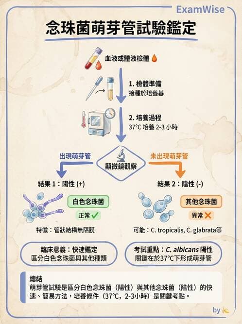 護理師 - 黴菌學概論 - AI 圖文解析預覽