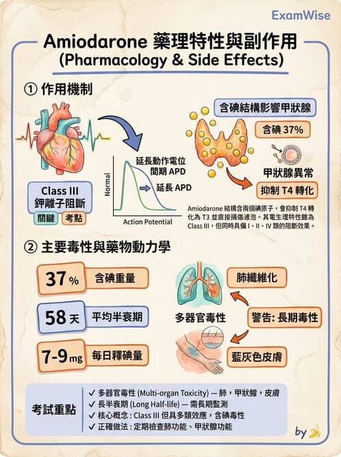 護理師 - 心臟藥物與抗血栓劑 - AI 圖文解析預覽