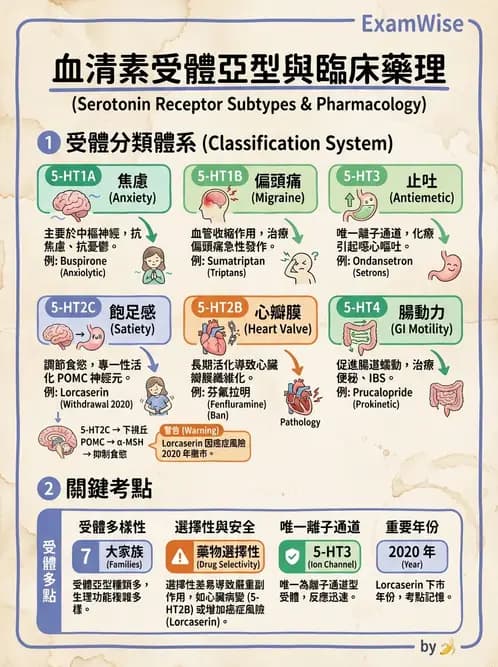 護理師 - 影響新陳代謝及內分泌功能藥物 - AI 圖文解析預覽
