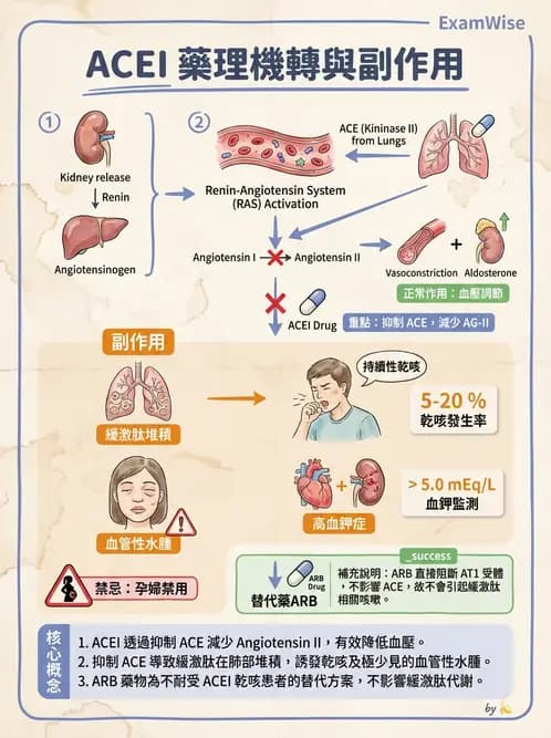 護理師 - 抗高血壓與血管藥物 - AI 圖文解析預覽
