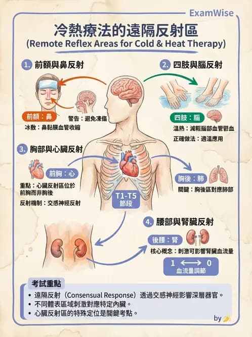 護理師 - 冷熱療法 - AI 圖文解析預覽