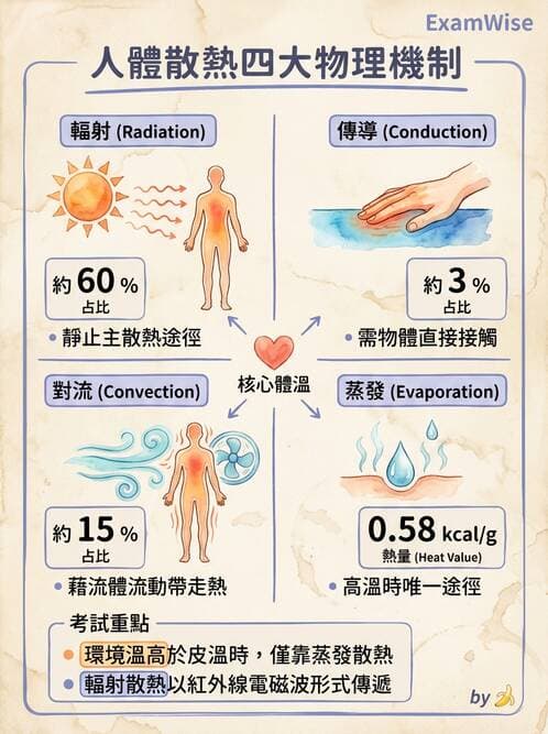 護理師 - 冷熱療法 - AI 圖文解析預覽