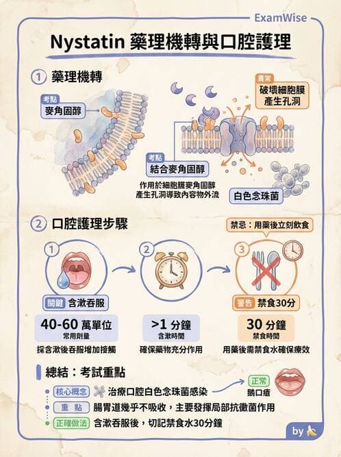 護理師 - 個人衛生與舒適照護 - AI 圖文解析預覽