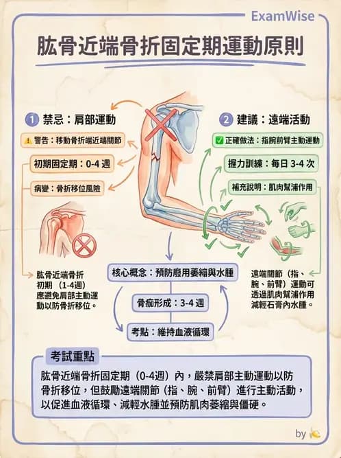護理師 - 運動功能與傷口護理 - AI 圖文解析預覽