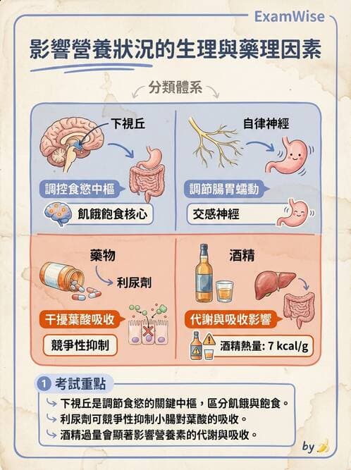 護理師 - 營養與管灌飲食 - AI 圖文解析預覽