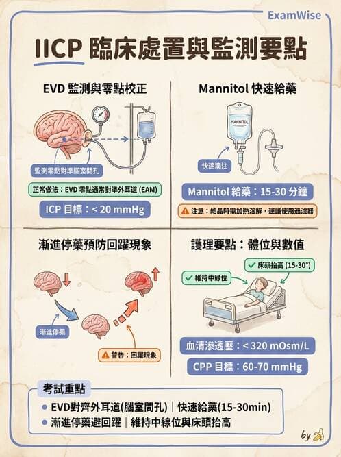 護理師 - 顱內壓升高與頭部外傷 - AI 圖文解析預覽