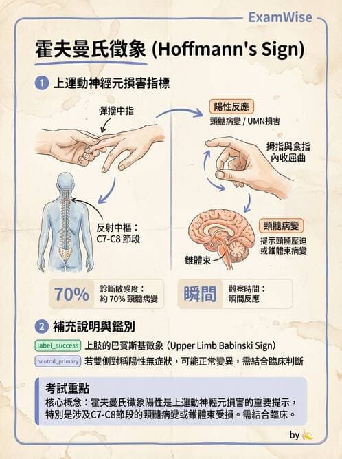 護理師 - 顱內壓升高與頭部外傷 - AI 圖文解析預覽