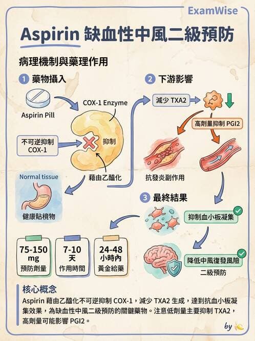護理師 - 腦中風與腦血管疾病 - AI 圖文解析預覽