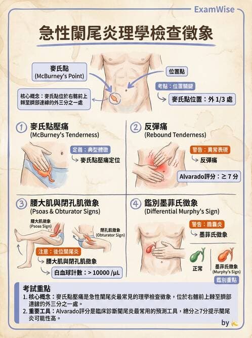 護理師 - 腸道疾病與手術護理 - AI 圖文解析預覽