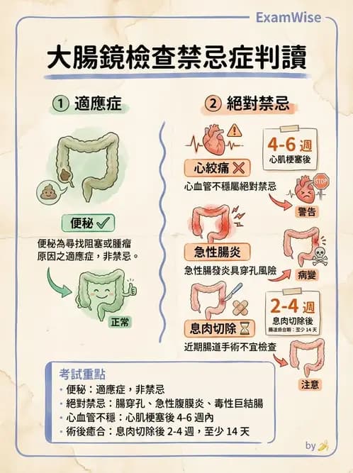 護理師 - 消化系統癌症護理 - AI 圖文解析預覽