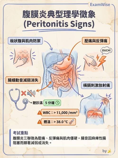護理師 - 腸道疾病與手術護理 - AI 圖文解析預覽