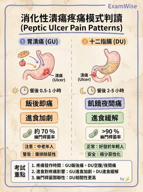 護理師 - 上消化道疾病 - AI 圖文解析預覽