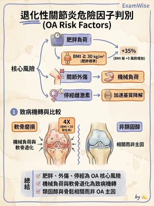 護理師 - 關節疾病與骨科手術 - AI 圖文解析預覽