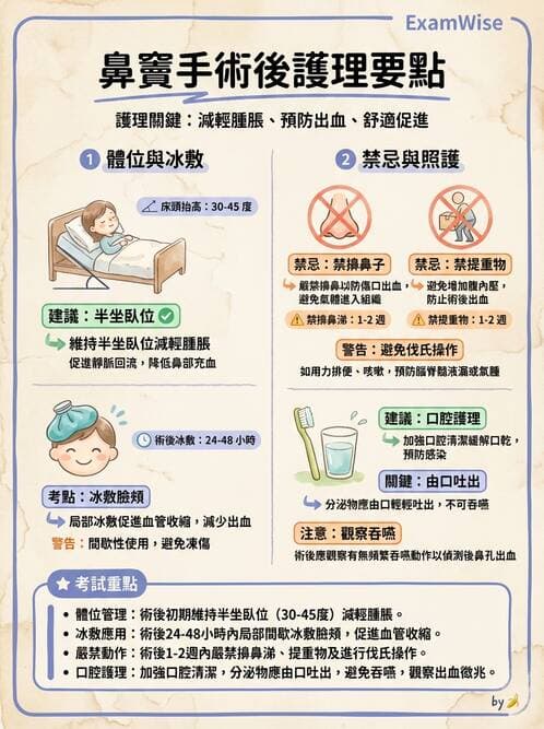 護理師 - 耳鼻喉疾病 - AI 圖文解析預覽