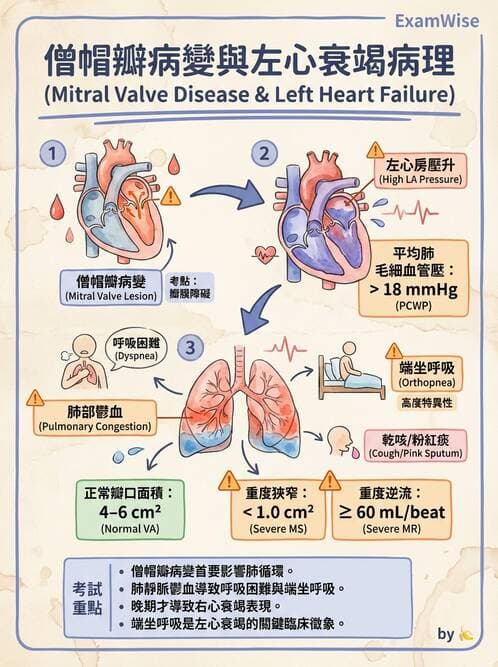 護理師 - 心臟瓣膜病與發炎性心臟病 - AI 圖文解析預覽