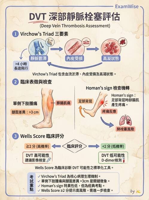 護理師 - 高血壓與周邊血管疾病 - AI 圖文解析預覽