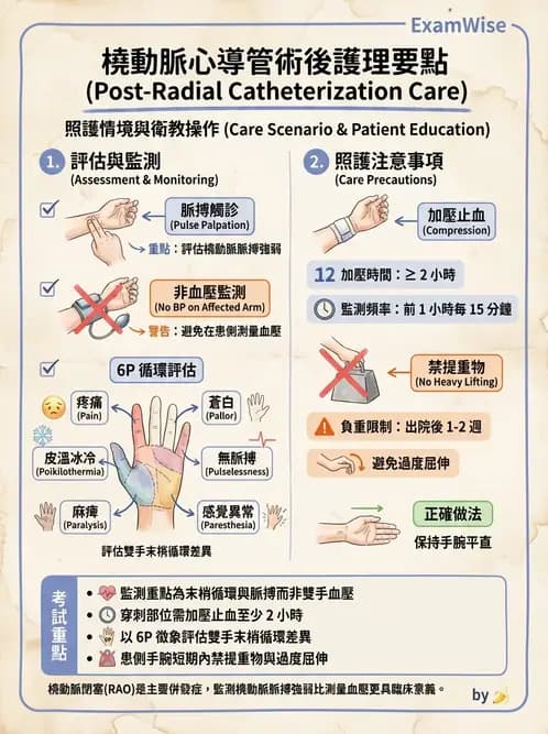 護理師 - 冠狀動脈疾病與心肌梗塞 - AI 圖文解析預覽