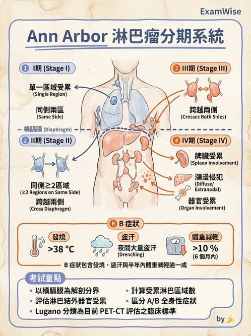 護理師 - 血液腫瘤疾病 - AI 圖文解析預覽