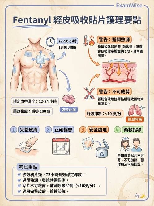護理師 - 放療、疼痛管理與安寧護理 - AI 圖文解析預覽