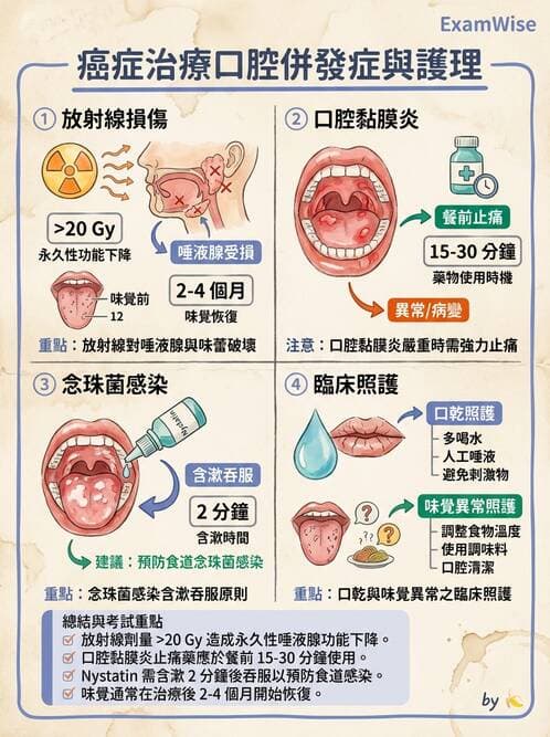 護理師 - 化療護理 - AI 圖文解析預覽