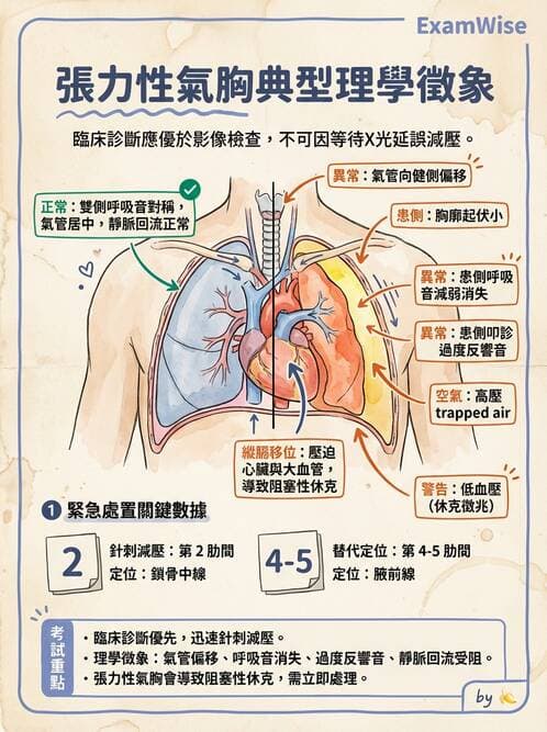 護理師 - 呼吸衰竭與胸腔護理 - AI 圖文解析預覽
