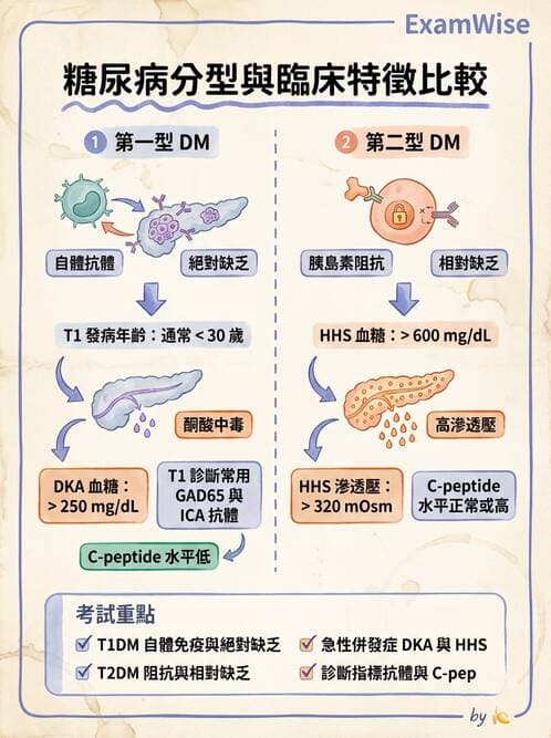 護理師 - 糖尿病基礎與藥物治療 - AI 圖文解析預覽