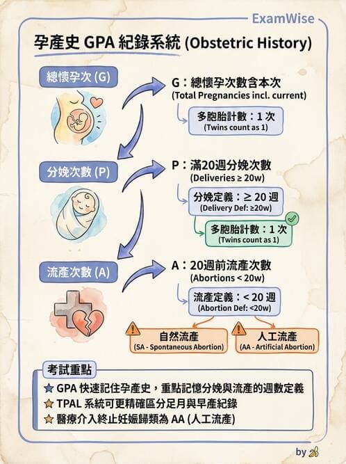 護理師 - 孕期營養心理與衛生政策 - AI 圖文解析預覽