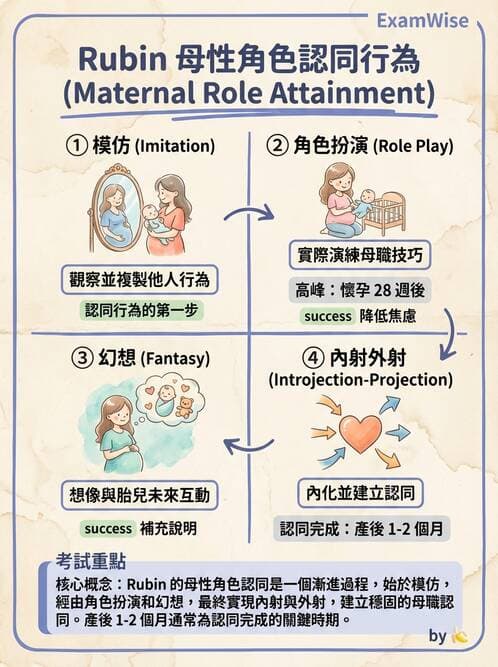 護理師 - 孕期營養心理與衛生政策 - AI 圖文解析預覽
