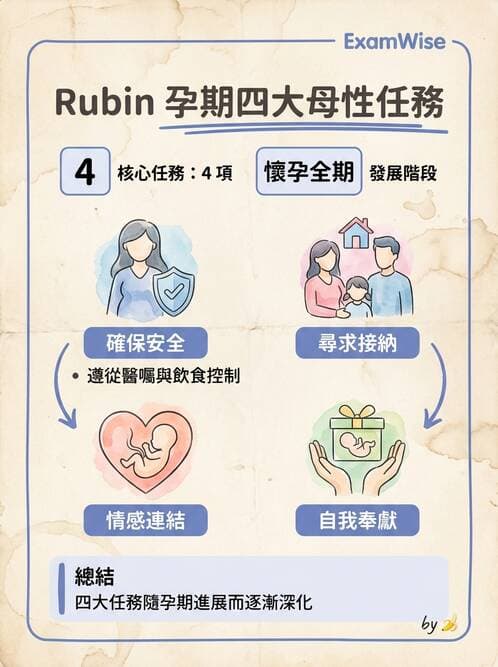 護理師 - 高危險妊娠 - AI 圖文解析預覽