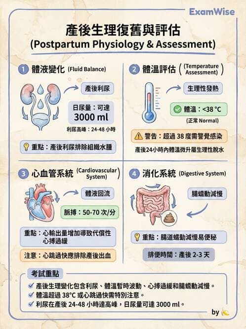 護理師 - 產後生理恢復與護理 - AI 圖文解析預覽
