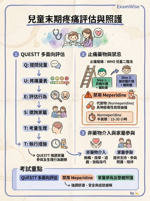 護理師 - 兒童基本護理評估技術 - AI 圖文解析預覽