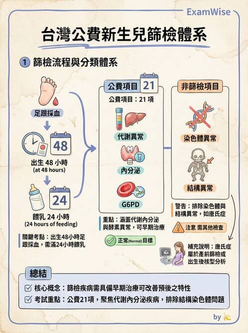 護理師 - 新生兒日常照護與篩檢 - AI 圖文解析預覽