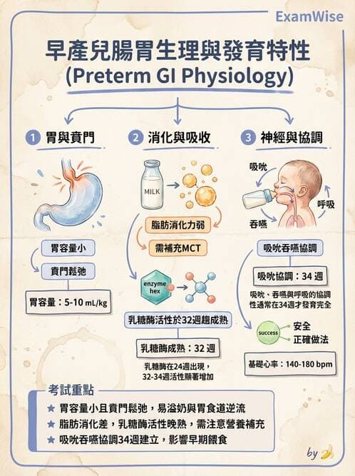 護理師 - 高危險新生兒 - AI 圖文解析預覽