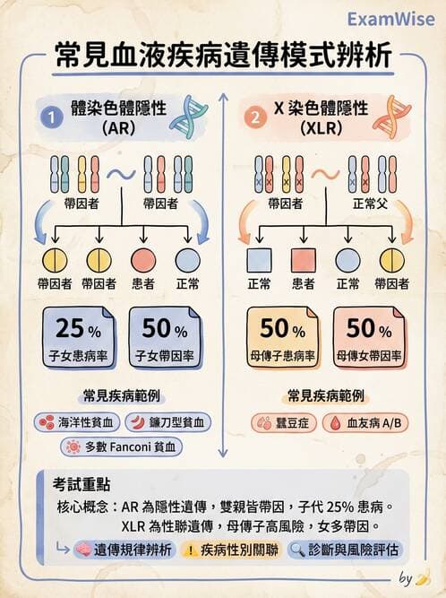 護理師 - 兒童血液與腫瘤疾病 - AI 圖文解析預覽