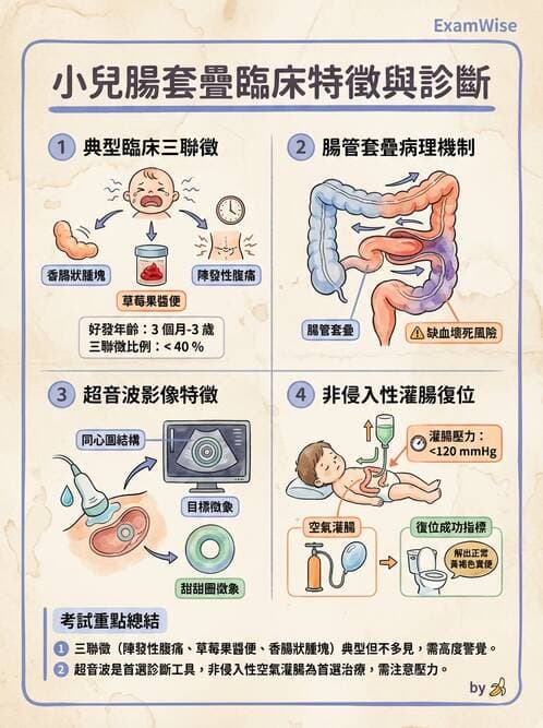 護理師 - 兒童消化系統疾病 - AI 圖文解析預覽