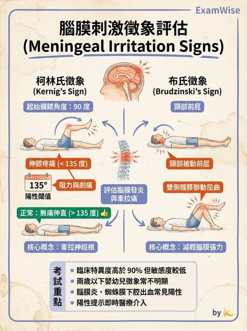 護理師 - 兒童神經肌肉骨骼疾病 - AI 圖文解析預覽