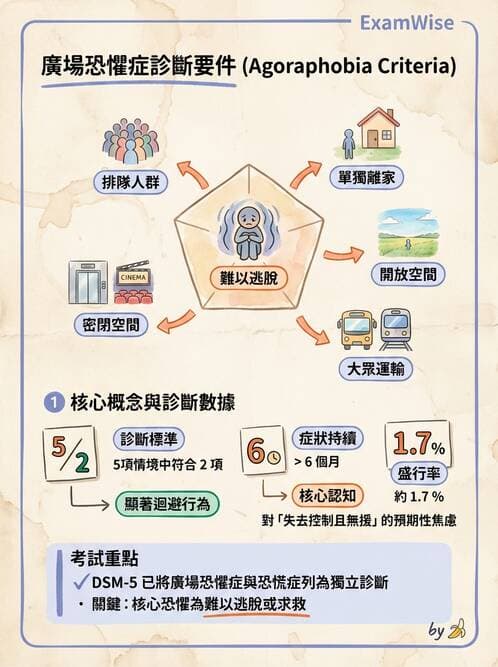 護理師 - 焦慮症與壓力相關障礙 - AI 圖文解析預覽