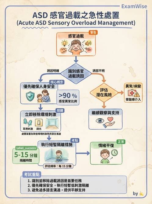 護理師 - 兒童青少年精神疾患 - AI 圖文解析預覽