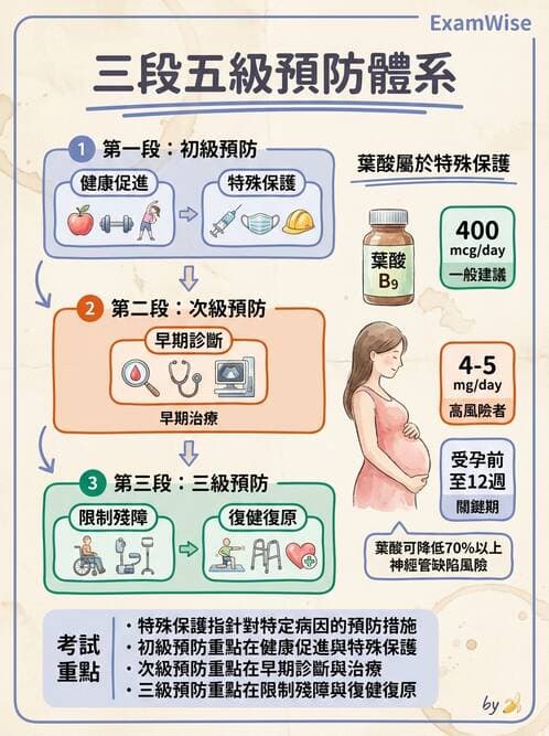 護理師 - 婦幼與青少年健康 - AI 圖文解析預覽