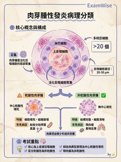 護理師 - 發炎、細胞傷害及修復 - AI 圖文解析預覽