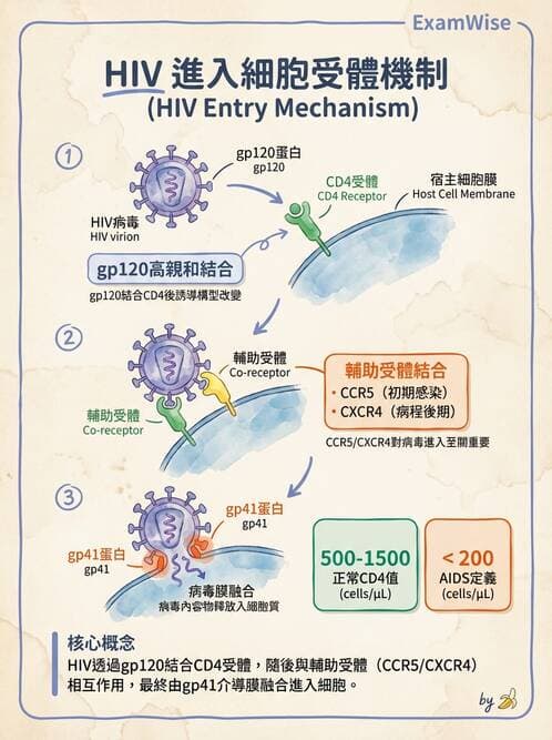 護理師 - RNA 病毒、新興病毒 - AI 圖文解析預覽