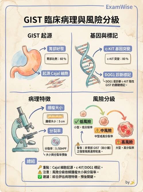 護理師 - 腫瘤及遺傳疾病 - AI 圖文解析預覽