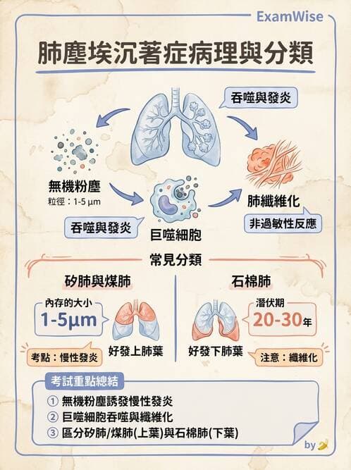 護理師 - 呼吸、循環系統 - AI 圖文解析預覽