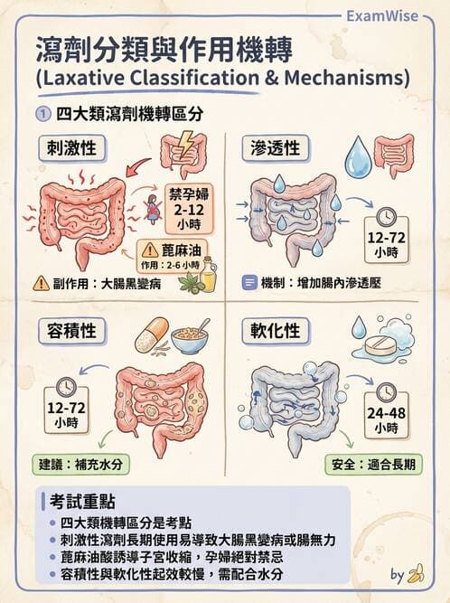 護理師 - 呼吸道及胃腸道作用藥物 - AI 圖文解析預覽